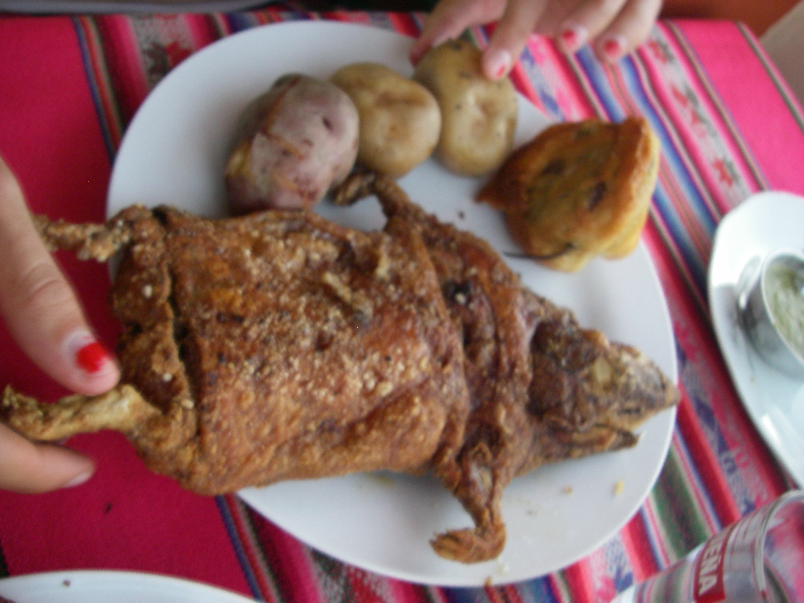 Cochon d'Inde : Cuy, spécialité péruvienne
