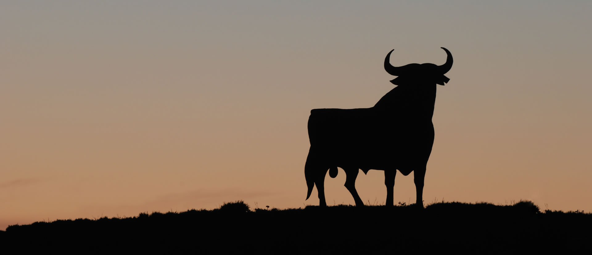 Learn Spanish in Spain Linguaschools Spanish language schools